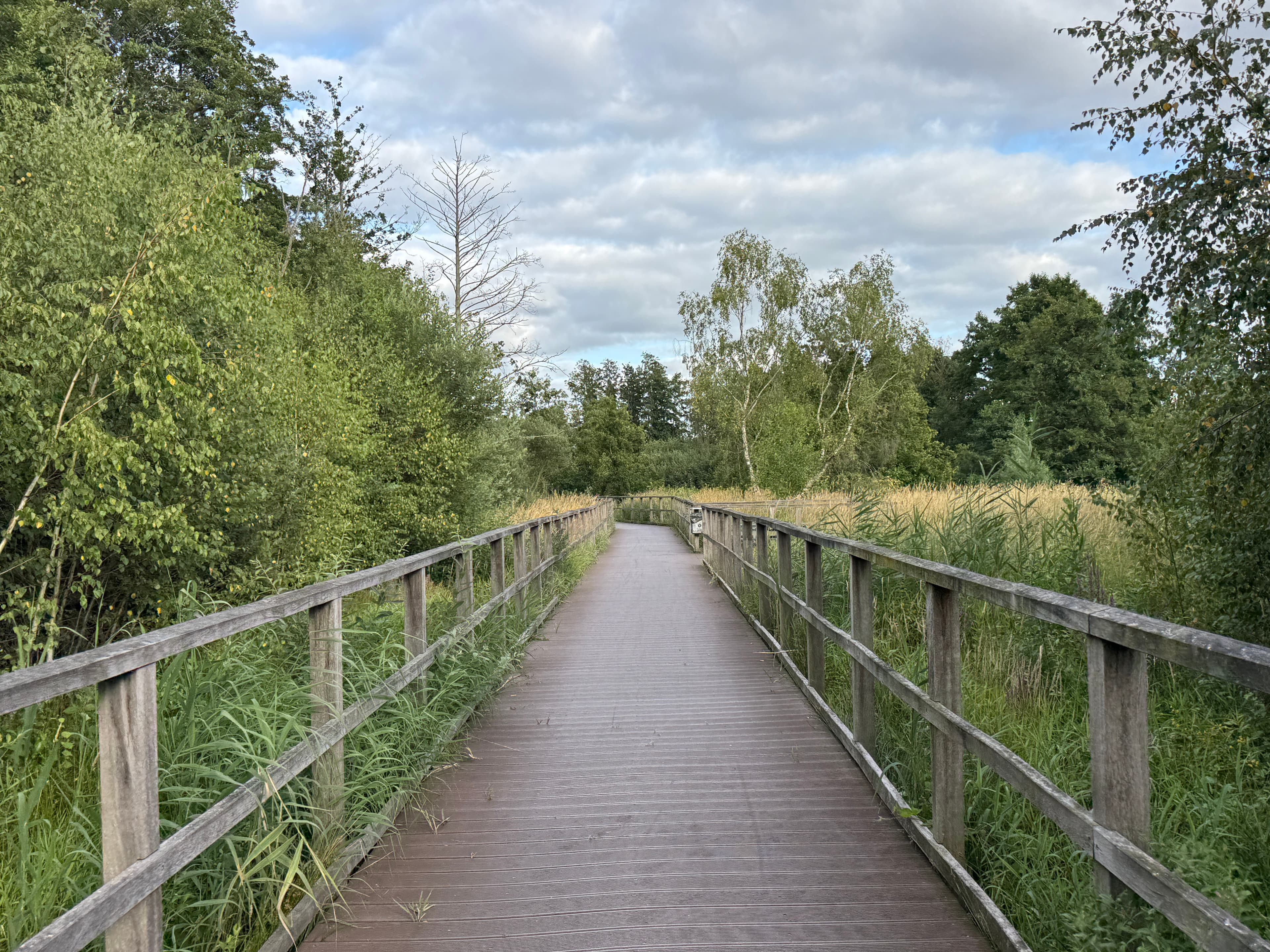 Wanderweg Soestetal
